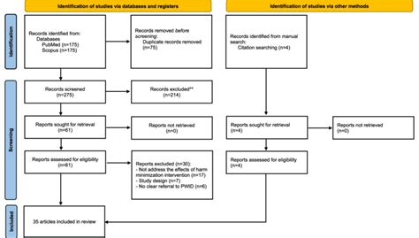 Image result for Flowchart Voorbeeld Systematic Review