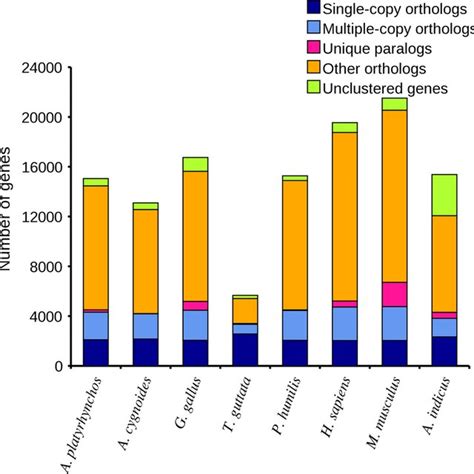 Afbeeldingsresultaten voor Random Distribution in Biology Examples