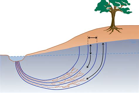 Image result for Drayc Signification