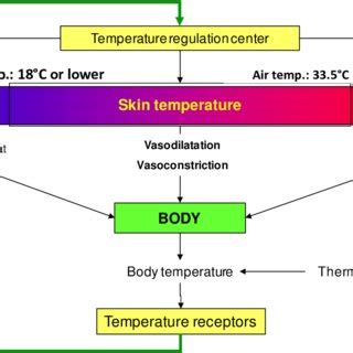 Negative Feedback Loop Fever に対する画像結果