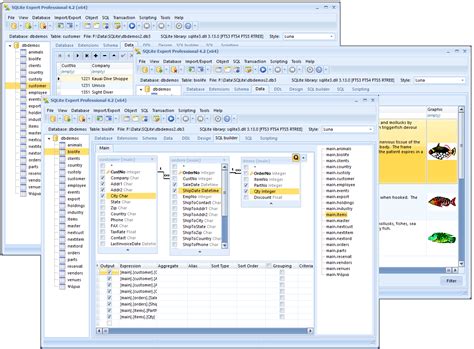 SQL Manager Lite に対する画像結果