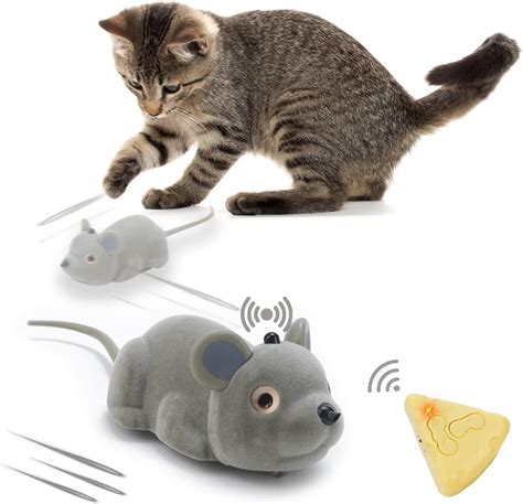 Image result for Cat Playing with Mouse