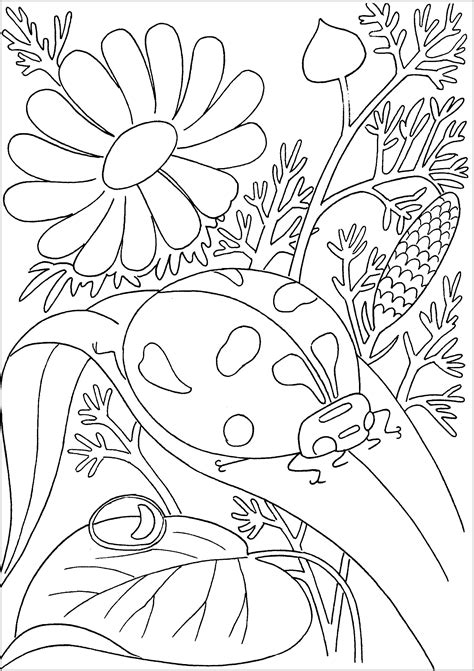 Toradh íomhá ar Fun Bug Coloring Pages