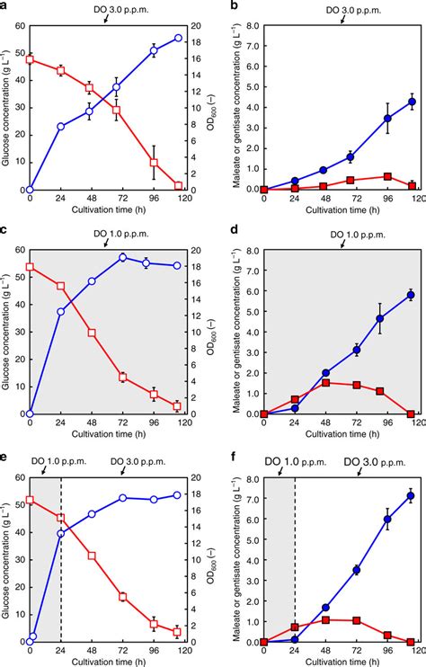 Image result for Batch Fermanor