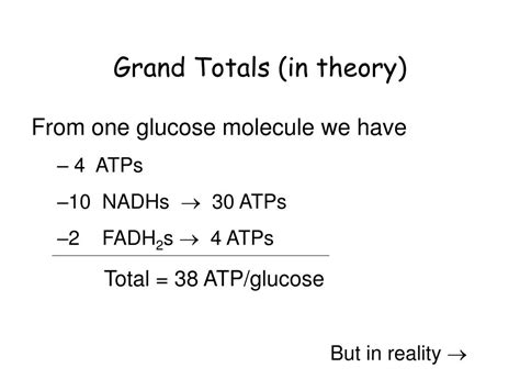 Image result for Ros and OXPHOS