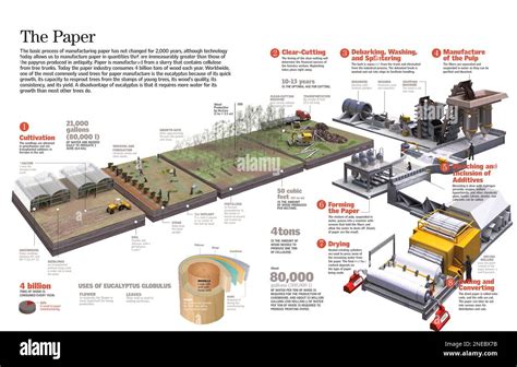 Image result for Flow Chartof Beating Inpaper Making Process