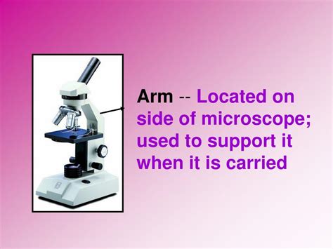 Image result for Microscope Side Arm