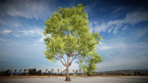 Image result for Tree Made in Unity