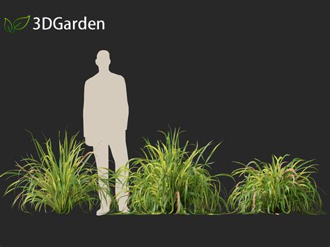 Lemongrass 3D Model に対する画像結果