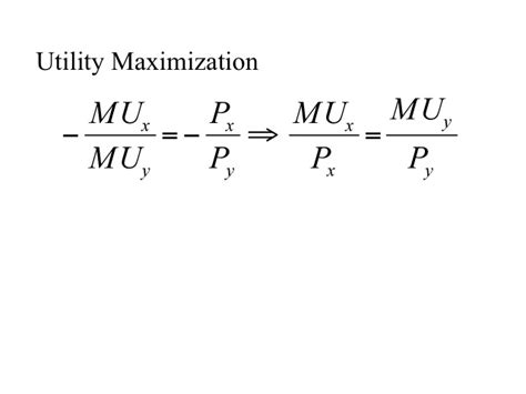 Afbeeldingsresultaten voor Utility Maximization Table
