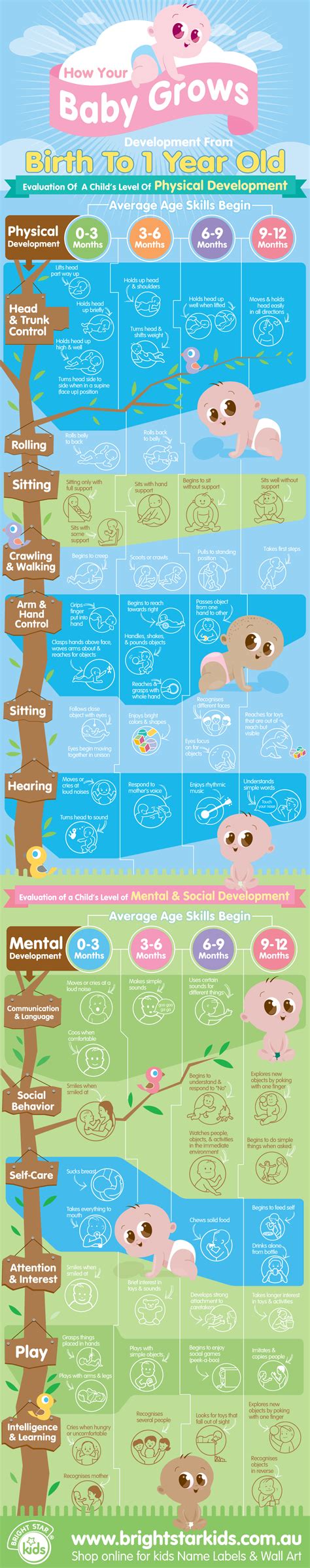 Image result for Infant Development Milestones Chart