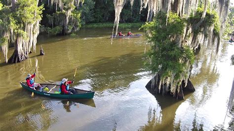 Swamp Base Tutorial に対する画像結果