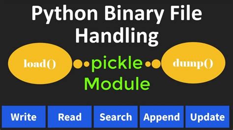 Image result for Binary File Extension in Python