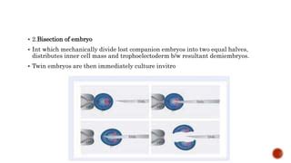Image result for Embryo Splitting Steps