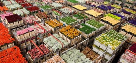 Perishable Foodstuff എന്നതിനുള്ള ഇമേജ് ഫലം