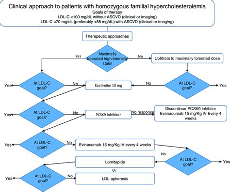 LDL-lowering Algorithm に対する画像結果