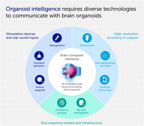 Image result for Biocomputer