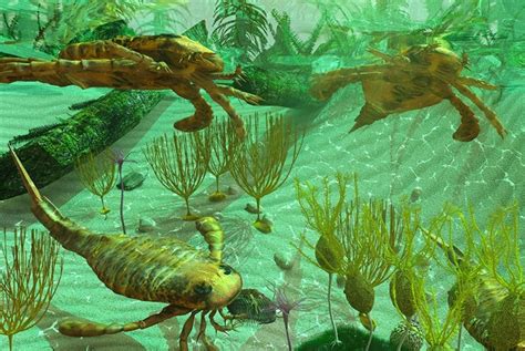 Image result for Cambrian Explosion
