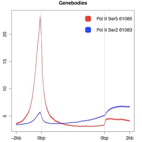 Image result for RNA Pol II ChIP-seq