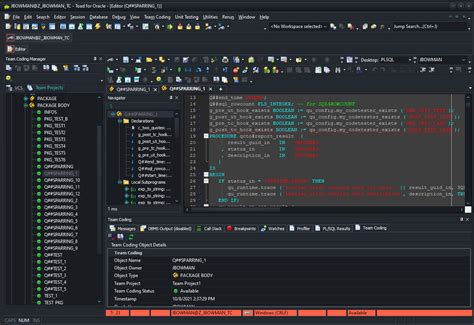 Image result for Oracle Database Client Tool