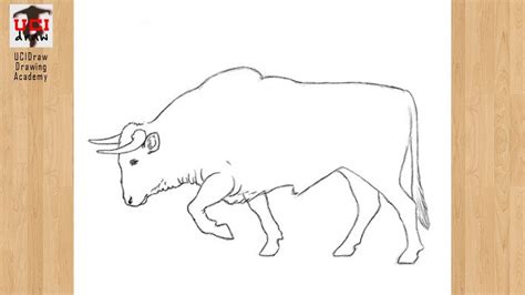 تصویر کا نتیجہ برائے Simple Bull Drawing