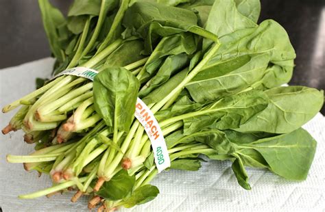 Image result for Spinach Leaves Images without Colour