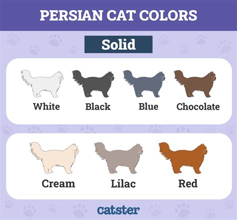 Toradh íomhá ar Physical Chart Note