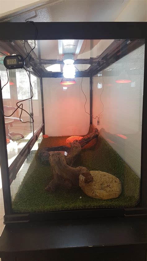 Toradh íomhá ar Darwin Python Tank