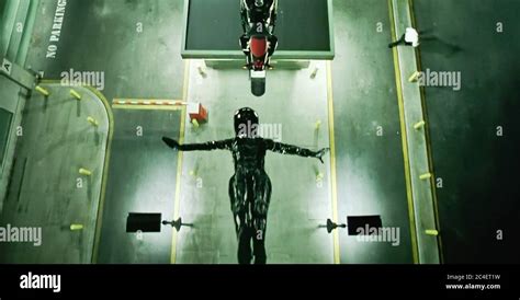 Image result for Matrix Trinity Flying Fight