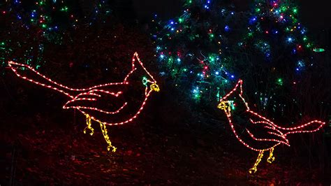 Afbeeldingsresultaten voor Akron Zoo Wild Lights