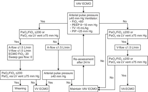 Toradh íomhá ar Algorithm Oxygen