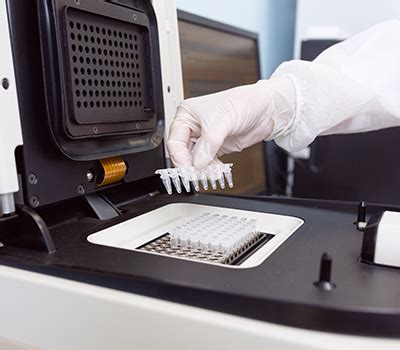 Lamp PCR に対する画像結果