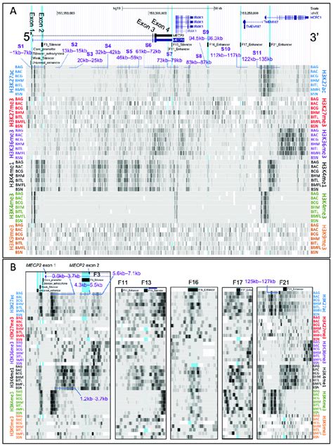 Post-Translational Modification Histone Code に対する画像結果