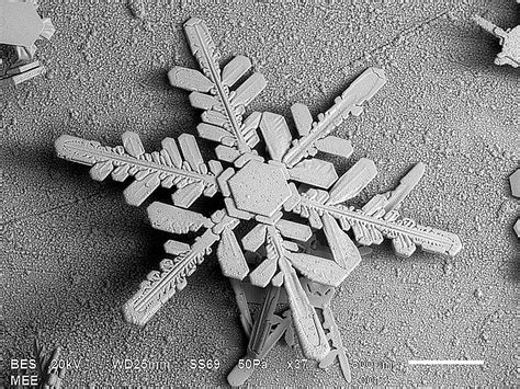Snowflake Under Electron Microscope에 대한 이미지 결과