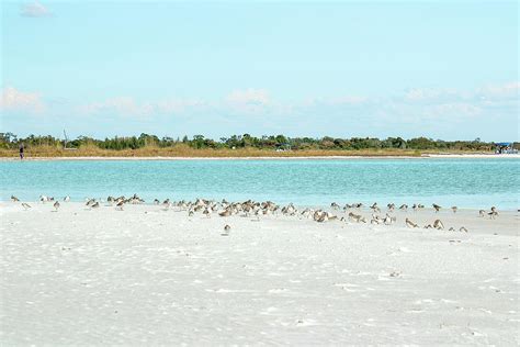Toradh íomhá ar Subrua Outback Key Layout