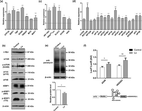 Image result for qPCR Transcriptomics