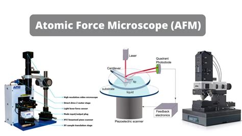 Atomic Force Microscopy Machine માટે ઇમેજ પરિણામ