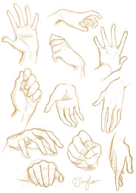 Image result for Hand and Arm Drawing Reference