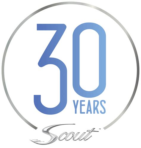 Image result for Scout Logo CSS