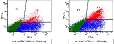 Image result for Antibody Affinity Modification Computer