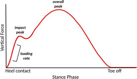 Ground Reaction Force Graph માટે ઇમેજ પરિણામ
