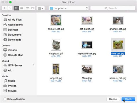 Toradh íomhá ar Basic File Upload