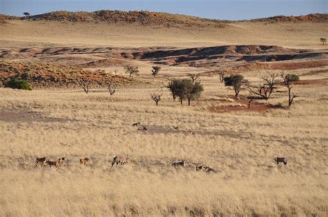 Image result for Solitaire Namibia
