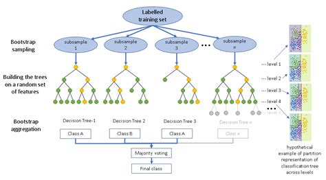 Image result for Random Forest Classification Model Diagram
