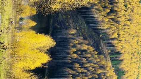 Toradh íomhá ar Golden Section Architecture