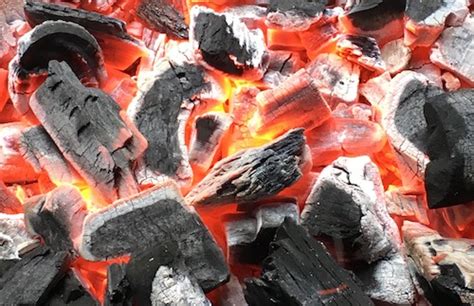 Image result for Charcoal Swab