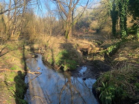 Restore Basic Conditions に対する画像結果