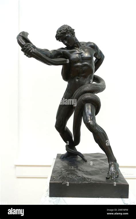 Image result for Python Squeeze Wrestling