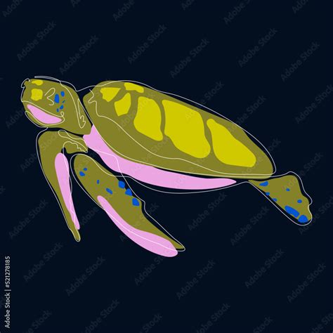 Toradh íomhá ar Turtle Drawing Side View