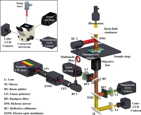 Image result for Microscope Spectrometer Setup